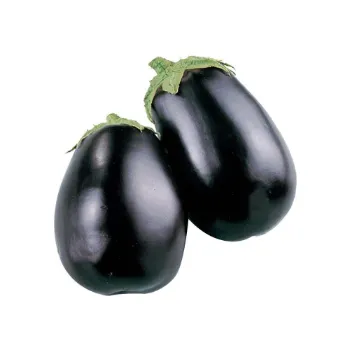 Organic Brinjal